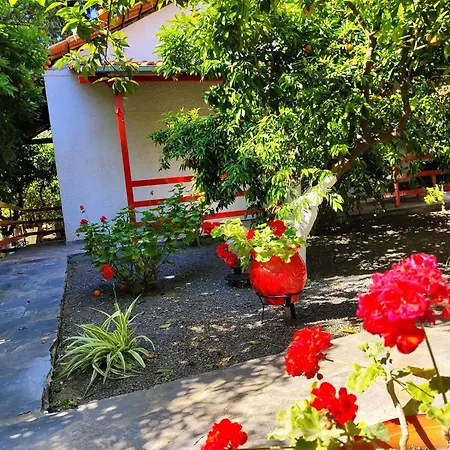 Cottonclub Villas Tolón Exteriér fotografie