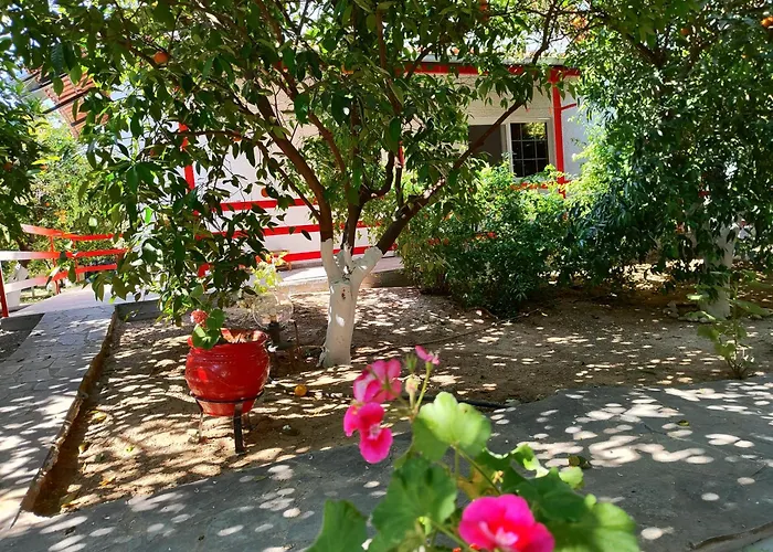 Cottonclub Villas